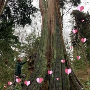 Meet your Posher, Wiley